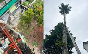 草刈り・樹木伐採